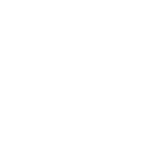 Accesibility-Icon-Wheelchair