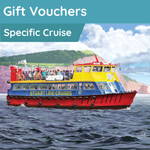 Gift Vouchers (Specific Cruises)