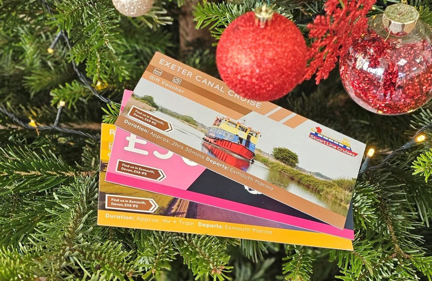 20231212_122744 resized